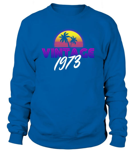 Retrowave Vintage 1973 Birthday Gift Idea Sweatshirt Unisex