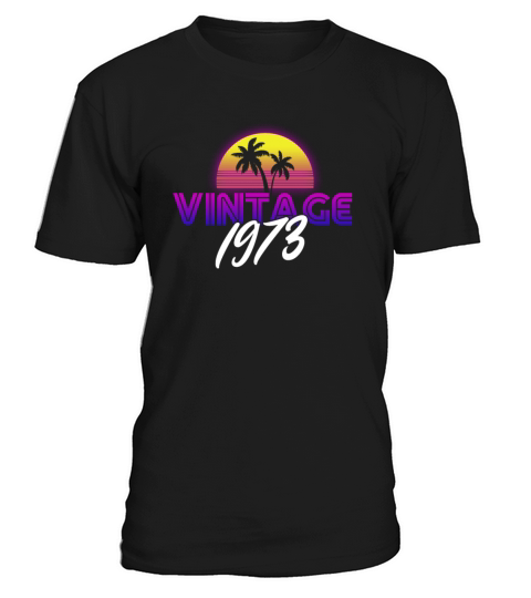 Retrowave Vintage 1973 Birthday Gift Idea T-Shirt Unisex