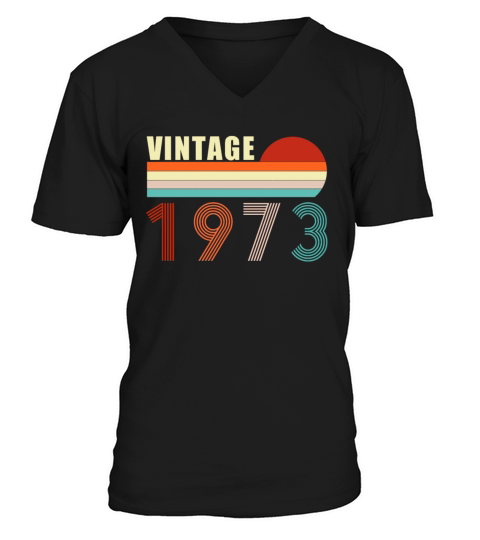 48th Birthday Gift - Vintage 1973 V-Neck T-shirt