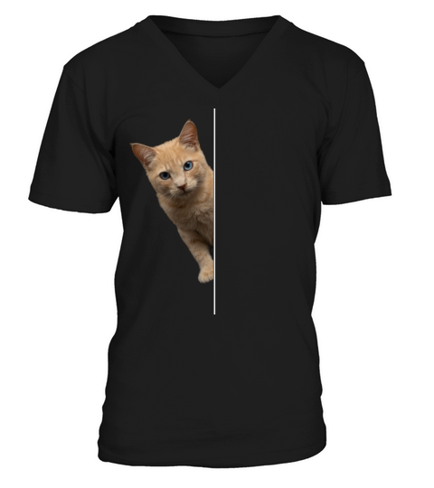 Funny Cat Animal Lover Pet Animal Outfit Cats V-Neck T-shirt