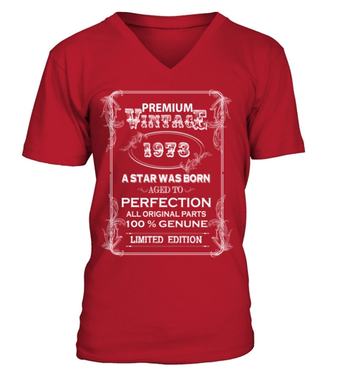 premium vintage 1973 V-Neck T-shirt