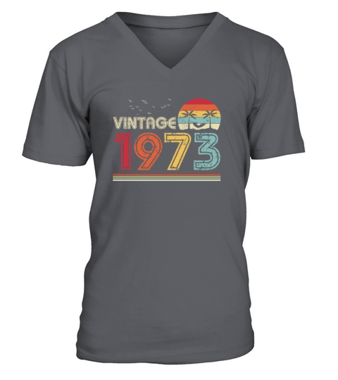 Vintage 1973 Limited Edition 48th Birthday Gift V-Neck T-shirt