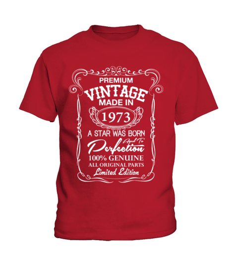 Premium Vintage 1973 Kids T-Shirt