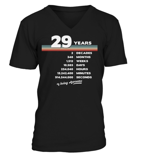 29th Birthday Vintage 29 Years Old Retro 348 V-Neck T-shirt