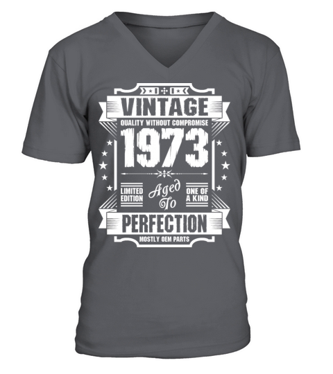 Vintage 1973 Perfection V-Neck T-shirt