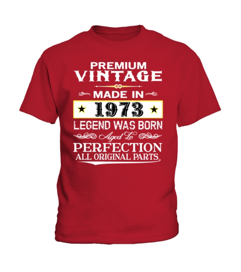 PREMIUM VINTAGE 1973 Kids T-Shirt