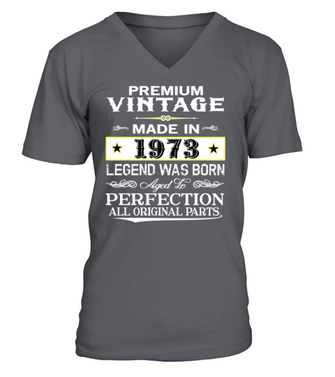PREMIUM VINTAGE 1973 V-Neck T-shirt