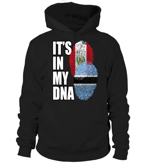Botswana And Peruvian Mix Heritage DNA Flag Hoodie Unisex