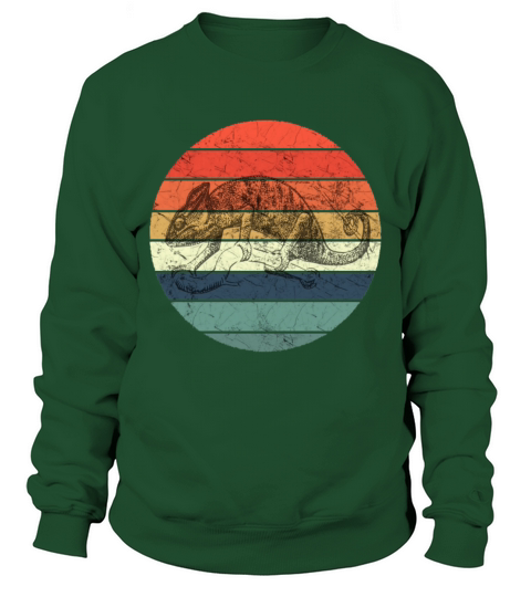 Chameleon - Retro Vintage Sunset Sweatshirt Unisex