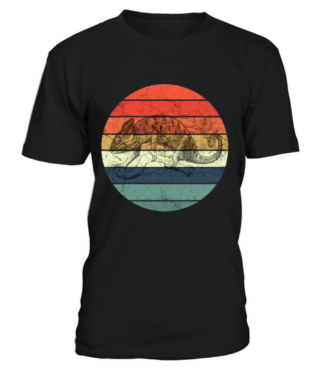 Chameleon - Retro Vintage Sunset T-Shirt Unisex