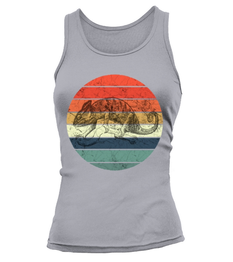 Chameleon - Retro Vintage Sunset Tank top Woman