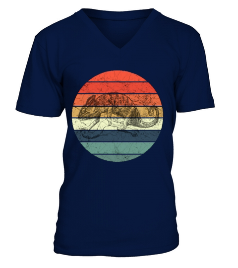 Chameleon - Retro Vintage Sunset V-Neck T-shirt