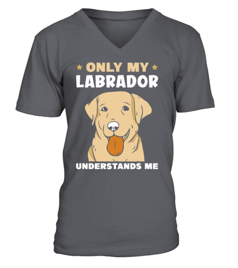 Only my Labrador understands me V-Neck T-shirt