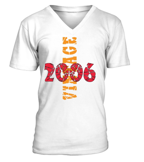 Vintage 17th Birthday 2006 Sports Gift V-Neck T-shirt
