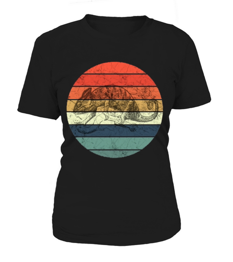 Chameleon - Retro Vintage Sunset Women's T-Shirt