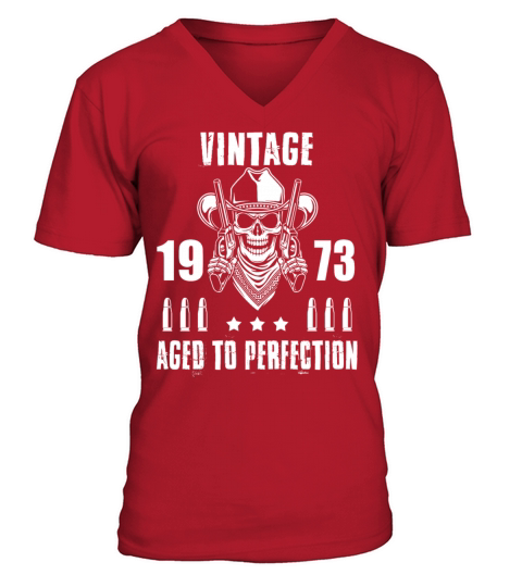 Vintage 1973 Aged to perfection V-Neck T-shirt