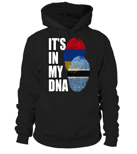 Botswana And Armenian Mix Heritage DNA Flag Hoodie Unisex