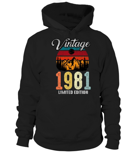 Retro Vintage 1981 Made in 1981 41st Bday Hoodie Unisex