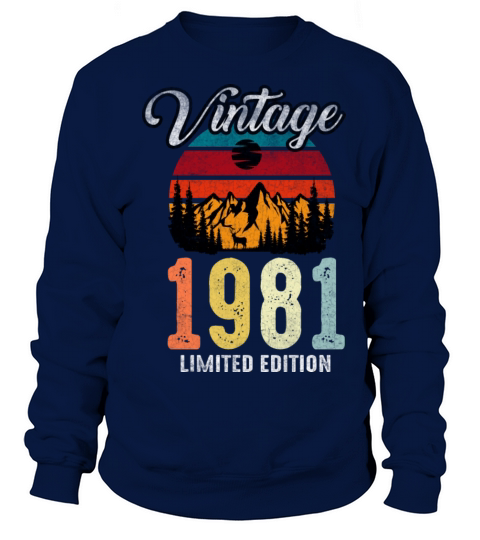 Retro Vintage 1981 Made in 1981 41st Bday Sweatshirt Unisex