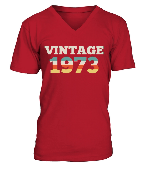 1973 Birthday Vintage 1973 Retro V-Neck T-shirt