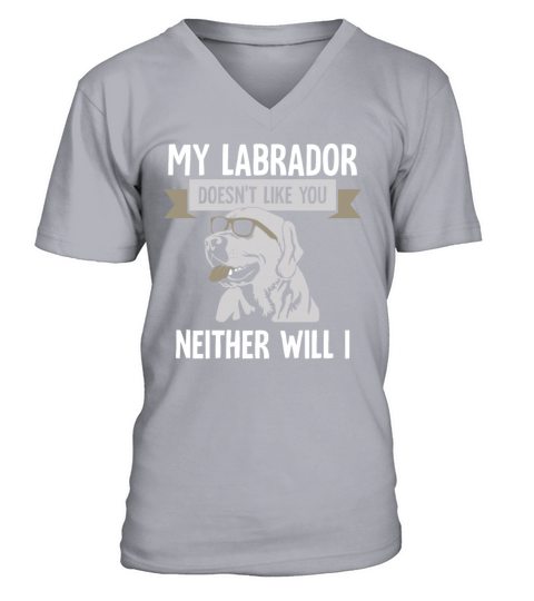 my Labrador doesnt like you neither will I V-Neck T-shirt