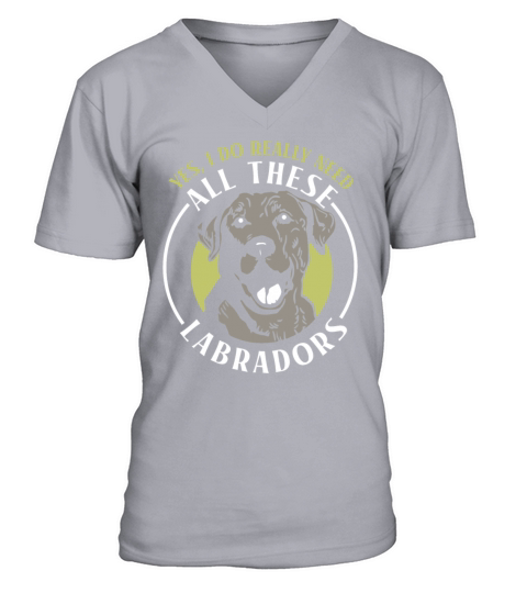 Yes I do really need all these Labradors V-Neck T-shirt