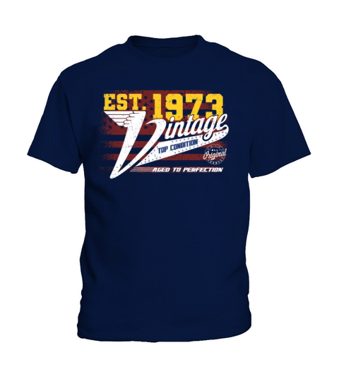 Vintage 1973 Year Of Birth 1973 US Flag Birthday Kids T-Shirt