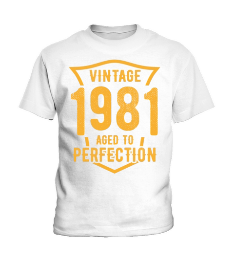 Vintage 1981 Aged To Perfection 42nd Birthday Kids T-Shirt