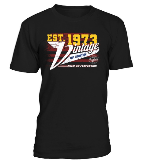 Vintage 1973 Year Of Birth 1973 US Flag Birthday T-Shirt Unisex