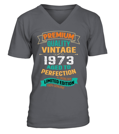 Premium Quality Vintage 1973 birthday t shirt V-Neck T-shirt