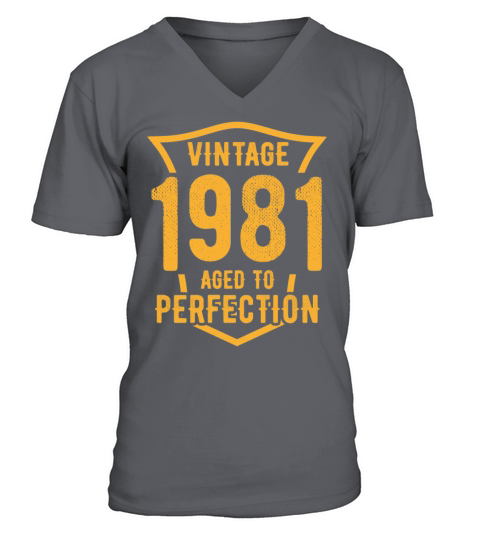 Vintage 1981 Aged To Perfection 42nd Birthday V-Neck T-shirt