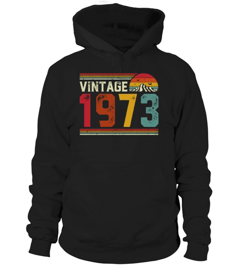 Vintage 1973 48 Years Old 48th Birthday Gift Hoodie Unisex