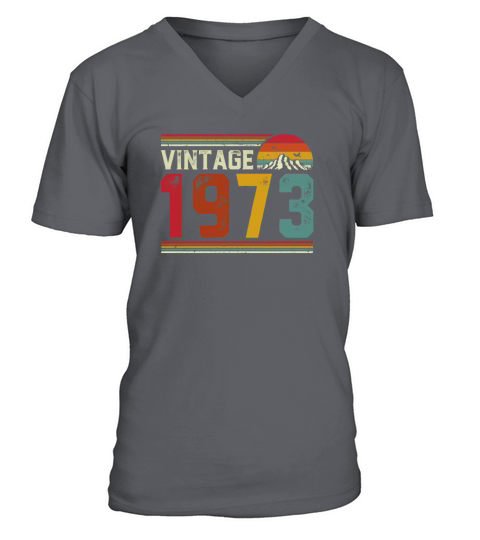 Vintage 1973 48 Years Old 48th Birthday Gift V-Neck T-shirt