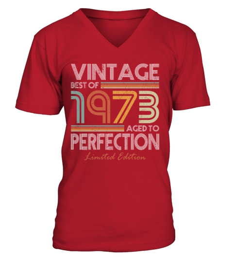 50th birthday vintage 1973 best of 1973 V-Neck T-shirt