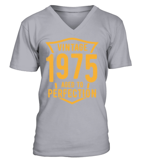 Vintage 1975 Aged To Perfection 48th Birthday V-Neck T-shirt