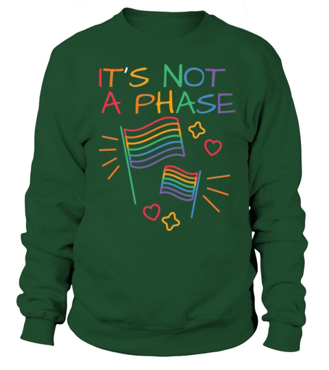 Its Not A Phase LGBT Gay Pride Colors Rainbow Fla Sweatshirt Unisex