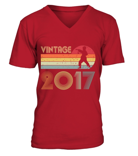 5th Birthday Karate Taekwondo Vintage 2017 Boy Kid V-Neck T-shirt