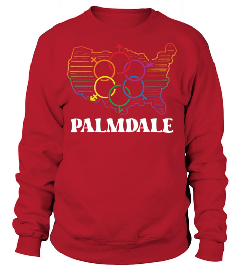 Palmdale Pride Month Pride Flag LGBT Community LGB Sweatshirt Unisex