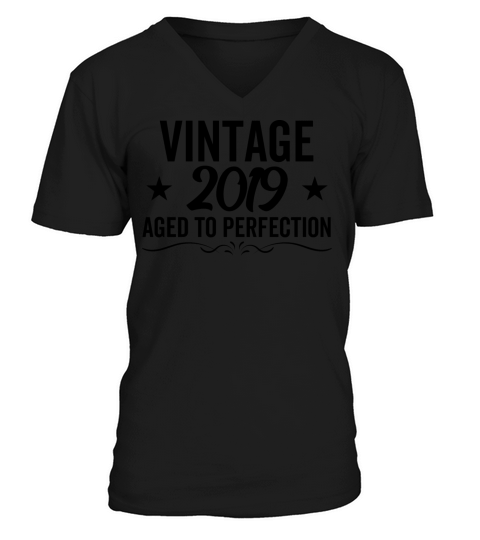 Vintage 2019 Aged To Perfection V-Neck T-shirt