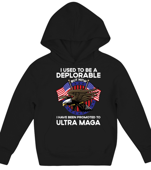 Funny Quote Now I Have Been Promoted To Vintage Kids Hoodie