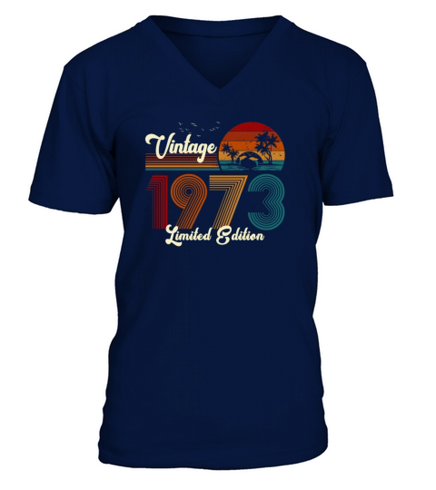 Vintage 1973 Limited Edition 48th Birthday Gift V-Neck T-shirt