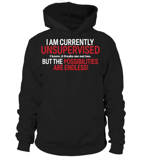 Im Currently Unsupervised Gift For singleFriend Hoodie Unisex