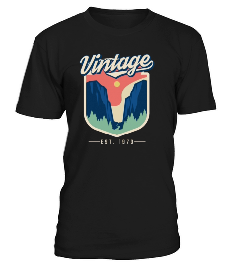 1973 Vintage born in Retro age Birthday gift idea T-Shirt Unisex