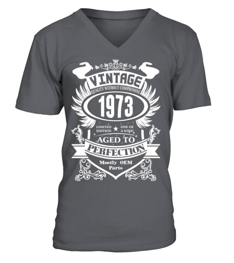 Vintage 1973 Aged To Perfection V-Neck T-shirt