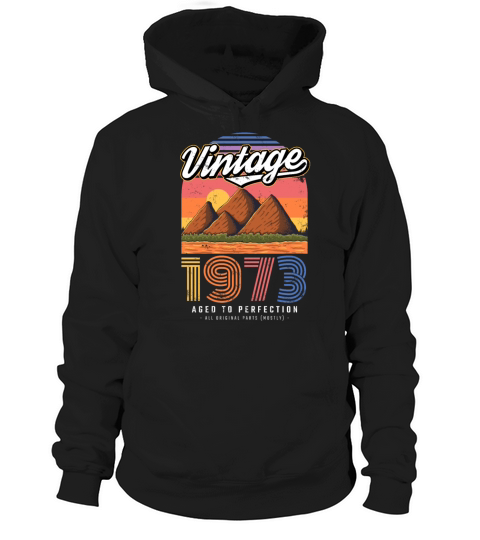 1973 Vintage born in Retro age Birthday gift idea Hoodie Unisex