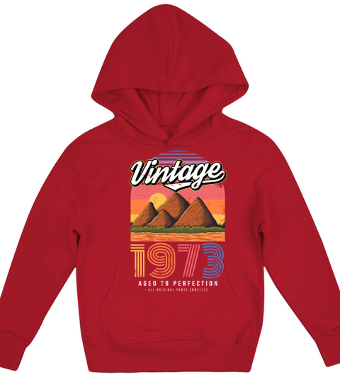1973 Vintage born in Retro age Birthday gift idea Kids Hoodie