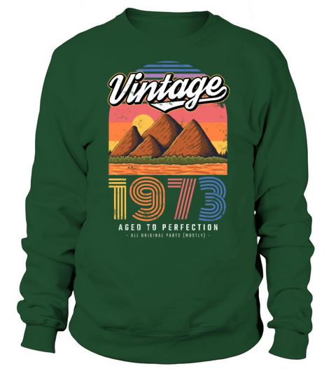 1973 Vintage born in Retro age Birthday gift idea Sweatshirt Unisex