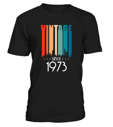 1973 Vintage born in Retro age Birthday gift idea T-Shirt Unisex