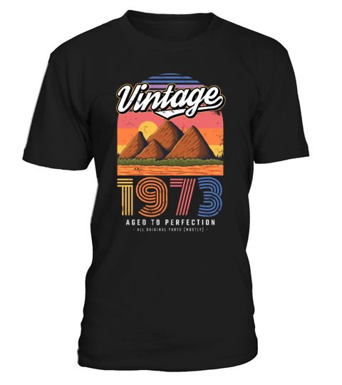 1973 Vintage born in Retro age Birthday gift idea T-Shirt Unisex