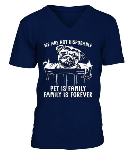 Abandoned Pets We Are Not Disposable Animal Lover V-Neck T-shirt